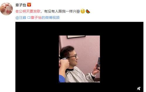 又弄得满手都是什么梗 吃瓜网在线观看视频 明星排名大全,揭秘“又弄得满手都是”梗，明星排名大揭秘